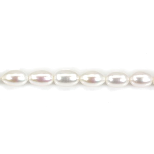 Freshwater cultured pearls, white, olive, 8mm x 38cm