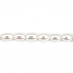 Perles d'eau douce blanches ovale 9-13mm x 1pc