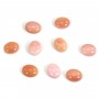 Lambi ovale cabochon 8x10mm x 1pc
