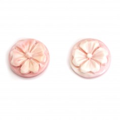 Cabochon Cameo Conque rosa rund Blume 12mm x 1St