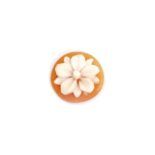 Cabochon Cameo Conch carnelian round flower 14mm x 1pc