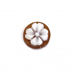 Cabochon Camée Conque sardoine rond fleur 8mm x 1pc