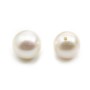 Pearl freshwater demi tron 7mm blanc x 10 pcs