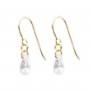 Boucles d'oreilles oxyde de zirconium goutte 4x6mm - Gold Filled x 2pcs