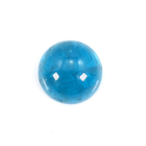 Apatite rotonda cabochon 8mm x 1pc