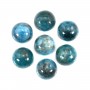 Cabochão de apatite redondo 8 mm x 1 unidade