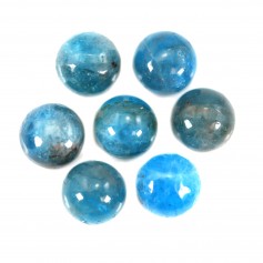 Cabochon Apatite rond 6mm x 1pc
