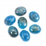 Cabujón oval de apatita 8x10mm x 1ud