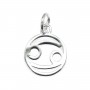 Charm signo astrológico 10x15mm - Caranguejo - Prata 925 x 1pc