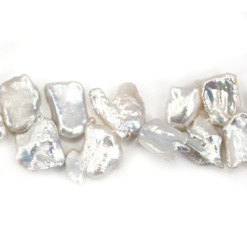 Perles d'eau Douce késhi bleu & violet 10.5x13.5mm x 1pc