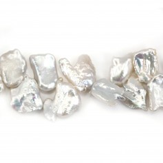 Perles d'eau Douce késhi bleu & violet 10.5x13.5mm x 1pc