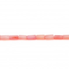 Bambou mer teinté orange Tube 2x4mm x 20pcs