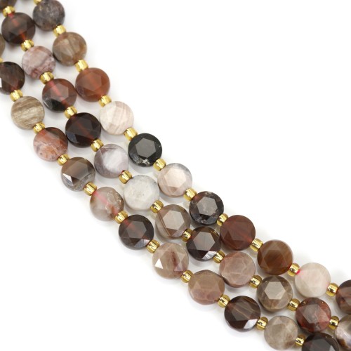 Bois Pétrifié (Fossilisé) rond plat facetté 8mm x 38cm