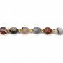 Petrified (Fossilized) Wood Faceted Olive Beads 6x8mm x 39cm
