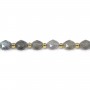 Labradorite oliva sfaccettata 6x8mm x 39cm