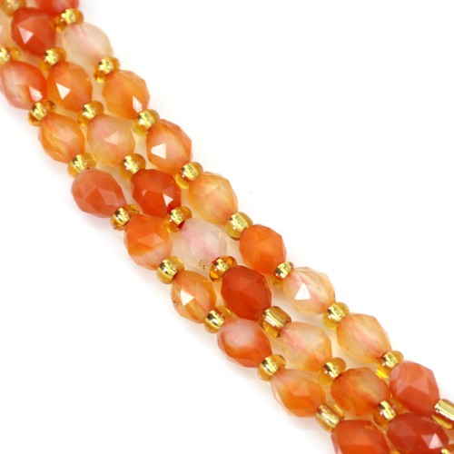 Faceted olive carnelian 5x6mm x 39cm (50 pieces)