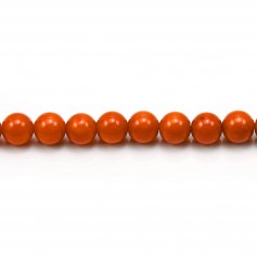 Bambou de mer ronde 6mm x 40cm