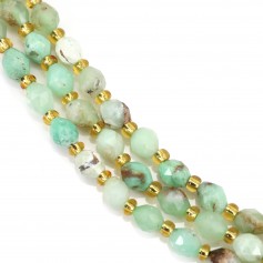 Faceted olive chrysoprase 5x6mm x 38cm (49 pieces)