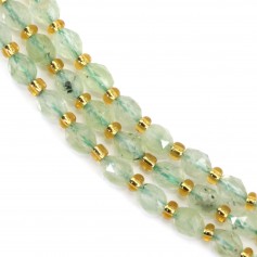 Olivgrüner facettierter Prehnit 5x6mm x 39cm (51 Stück)