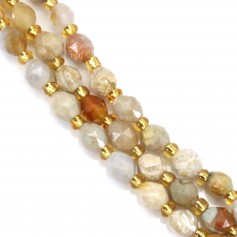 Fossilized faceted olive coral 5x6mm x 39cm (49 pieces)