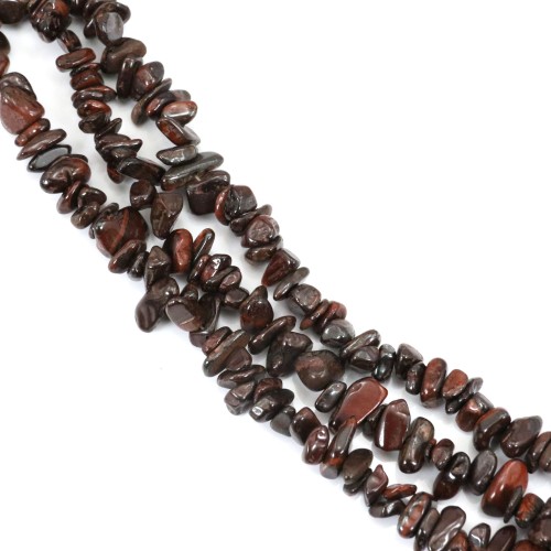 Patatine Oeil de Fer x 80cm