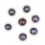Perles de culture d'eau douce, bleu foncé, semi-ronde, 8-9mm x 6pcs