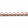 Perles de culture d'eau douce, saumon, ovale, 5-7mm x 40cm