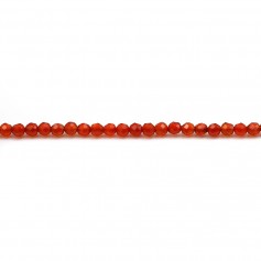 Cornalina redonda facetada 2mm x 40cm