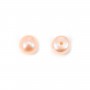 Pérolas de água doce, semi-perfuradas, salmão, botão, 4-4.5mm x 4 peças