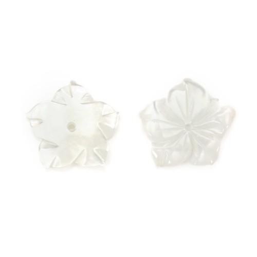 White mother-of-pearl 15mm in Flower of 5 Leaves x 1pc