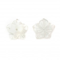 Nácar blanco 15mm en Flor de 5 Hojas x 1 ud.