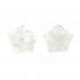 Nacre blanc  15mm en Fleur de 5 Feuilles x 1pc