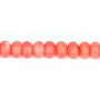 Bamboo sea dyed orange Bead 4x6mm x 40cm