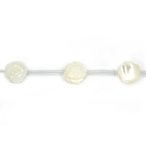 Rosa di madreperla bianca su filo 12mm x 40cm (15pz)