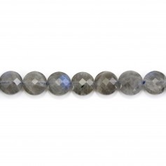 Labradorite ronde plate facette 8mm x 39cm