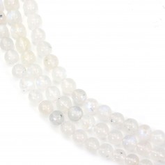 Moonstone Round 5mm x 5 pcs