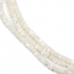 Nácar blanco rondel 3x4mm x 39cm