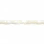 White mother-of-pearl bamboo tube 4x8mm x 39cm