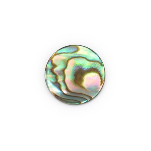 Cabochon Abalone tondo piatto 14mm x 1pz