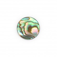 Cabochon Abalone rond plat 14mm x 1pc