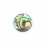 Cabochon Abalone rund flach 14mm x 1 Stück