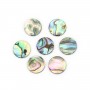 Cabochon Abalone rond plat 14mm x 1pc
