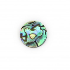 Cabochon Abalone rund flach 20mm x 1 Stück