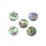 Cabochão Abalone redondo plano 20mm x 1 peça