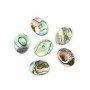 Cabochão Abalone oval plano 13x18mm x 1 peça