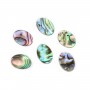Cabujón Abulón oval plano 10x14mm x 1 ud.
