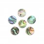 Cabochon Abalone rund flach 12mm x 1 Stück