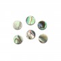 Cabochon Abalone rund flach 6mm x 1 Stück