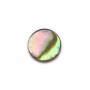 Cabochon Abalone rond plat 6mm x 1pc