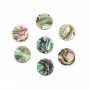Cabochon Abalone rond plat 10mm x 1pc